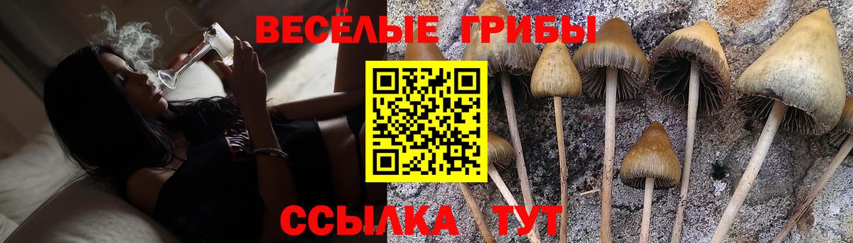 Галлюциногенные грибы прущие грибы  Вход с VPN  Новороссийск 