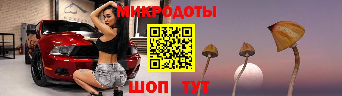 Галлюциногенные грибы мухоморы Новороссийск
